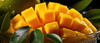 10 Maravillosas propiedades del mango ZONEFRUT